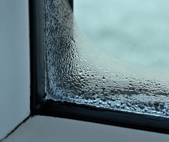 Kondenswasser an der Fensterscheibe