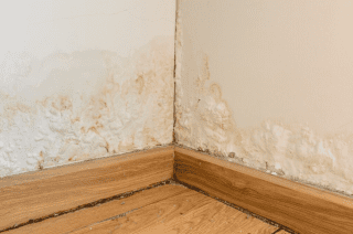 Aufsteigende Feuchtigkeit verursacht Feuchtigkeitsflecken an der Wand